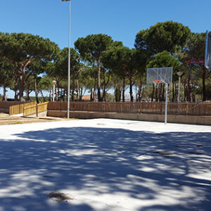 Jgo canastas antivandalicas minibasket new tubo 114 mm galvanizadas -incluye aros, redes y tableros-