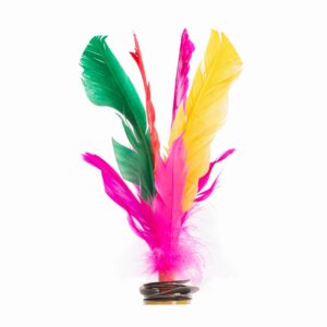 Lote 6 indiakas fútbol pluma multicolor