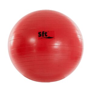 Pelota gigante softee flexi