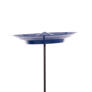 Set plato chino